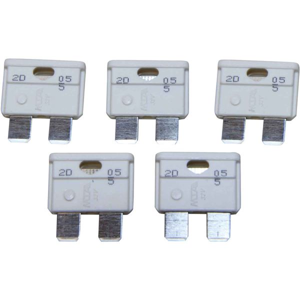 FUSE 25AMP BLADE TYPE NATURAL PK5